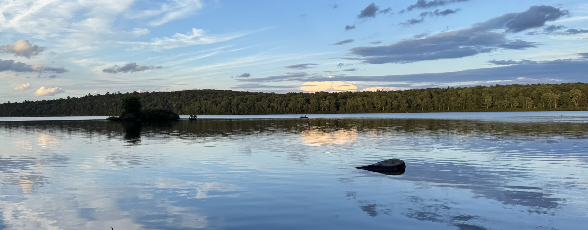 Lake surrounded by forest and trees